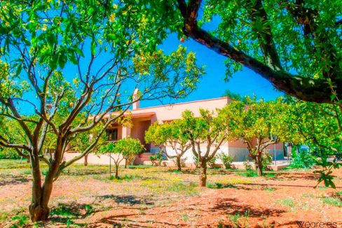 4397964045-can-julian-5