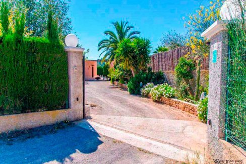 4397964045-can-julian-6