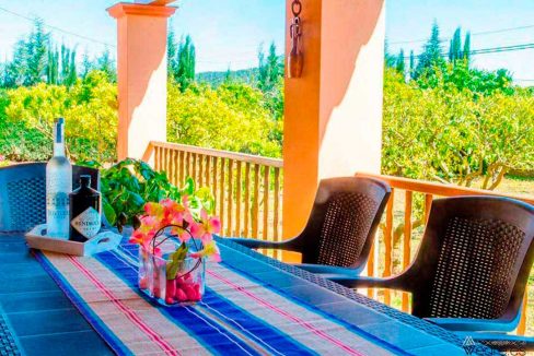 4397964045-can-julian-8