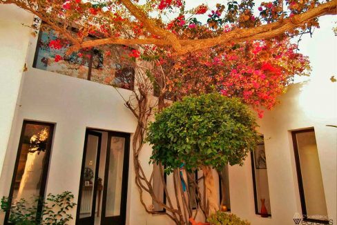 5863680600-villa-rosie-2